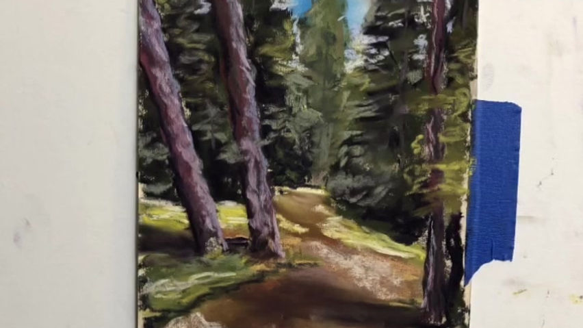 The Making of a Meditation-Pathway Through The Pines